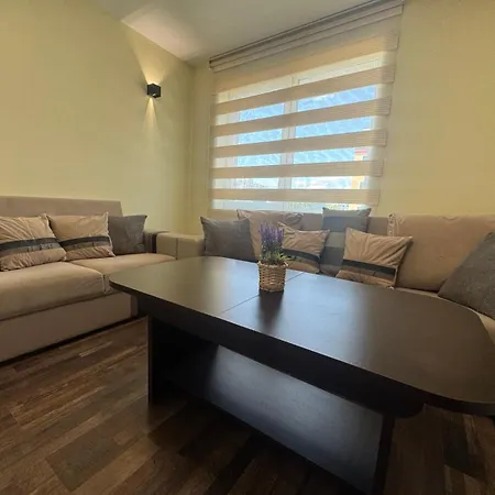 公寓 63rd Luxury One Bedroom *